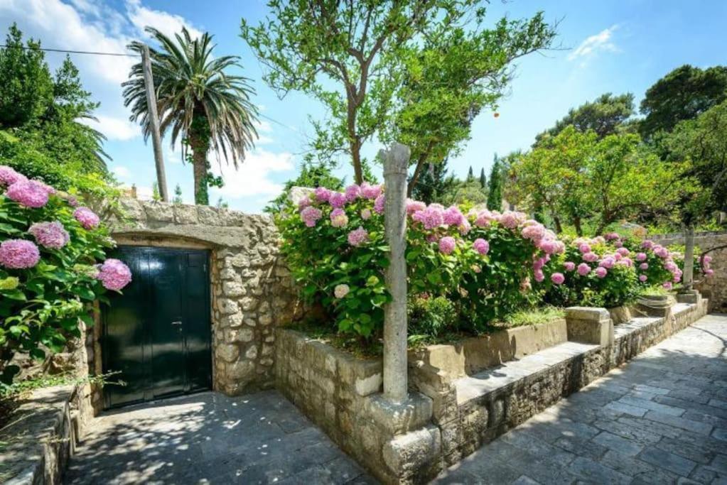 The Soldo'S Lägenhet Dubrovnik Exteriör bild