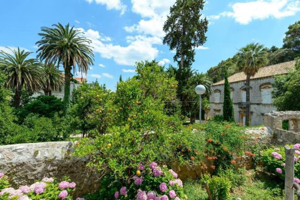 The Soldo'S Lägenhet Dubrovnik Exteriör bild